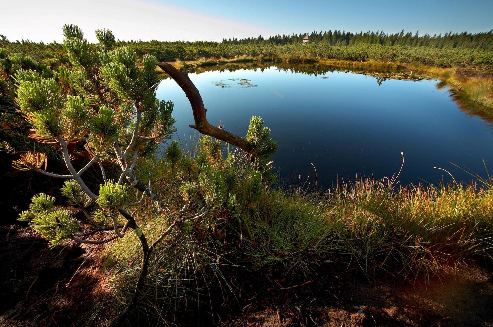 Hotel Natura Rogla Exteriér fotografie